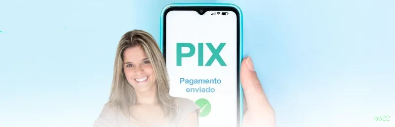bb22 Segurança